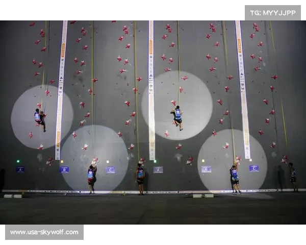 2018攀岩赛事安排;攀岩锦标赛